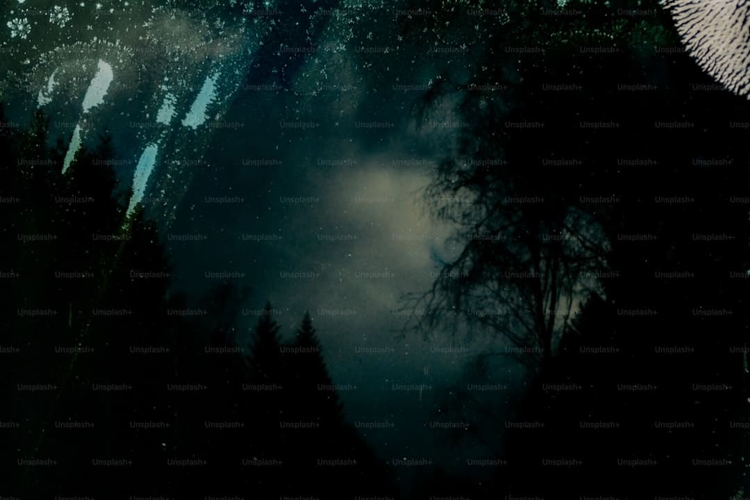 王星越白鹿联系解析：又爱又恨的宿舍日常引发热议